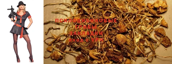 прущие крисы Саяногорск