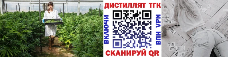 ТГК концентрат  Купить закладки  Судак 