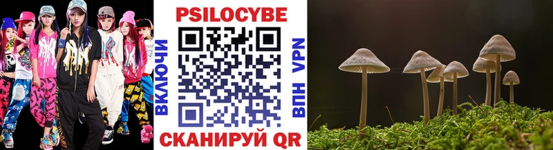 Купить где  Судак  Псилоцибиновые грибы Psilocybe 